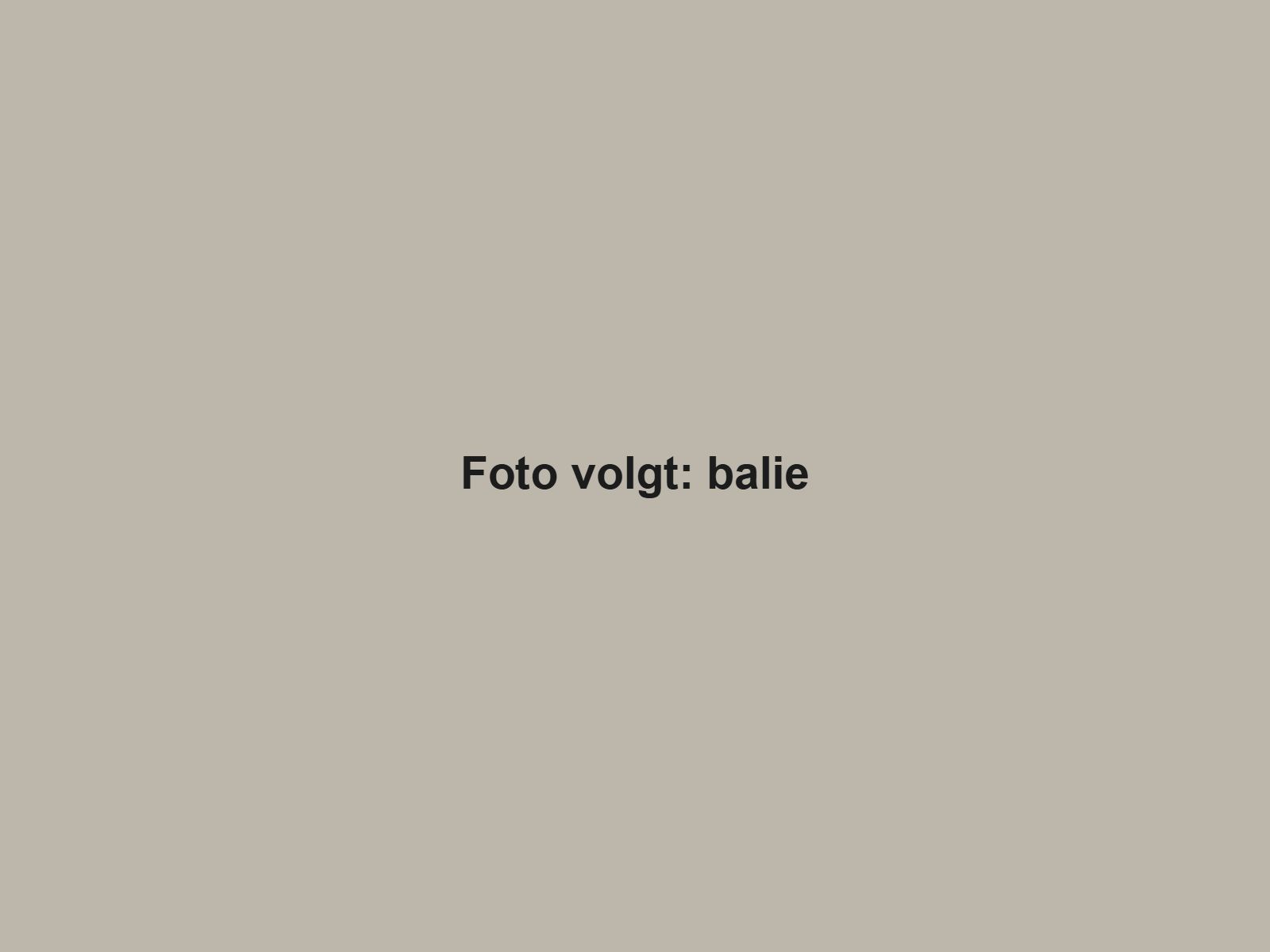 Foto volgt: balie
